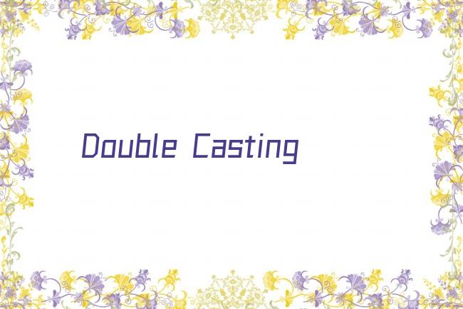 Double Casting剧照